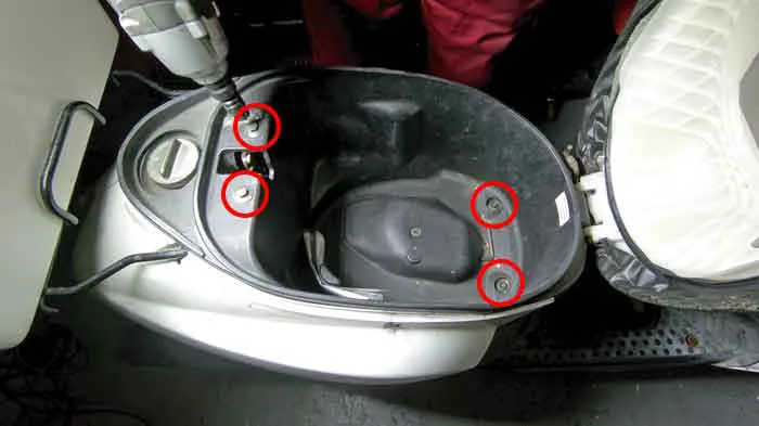 cell-moter-a.jpg.webp cell-moter-a.jpg.webp